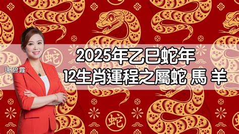 蛇馬羊三會|蛇馬羊三會：2024年最旺生肖